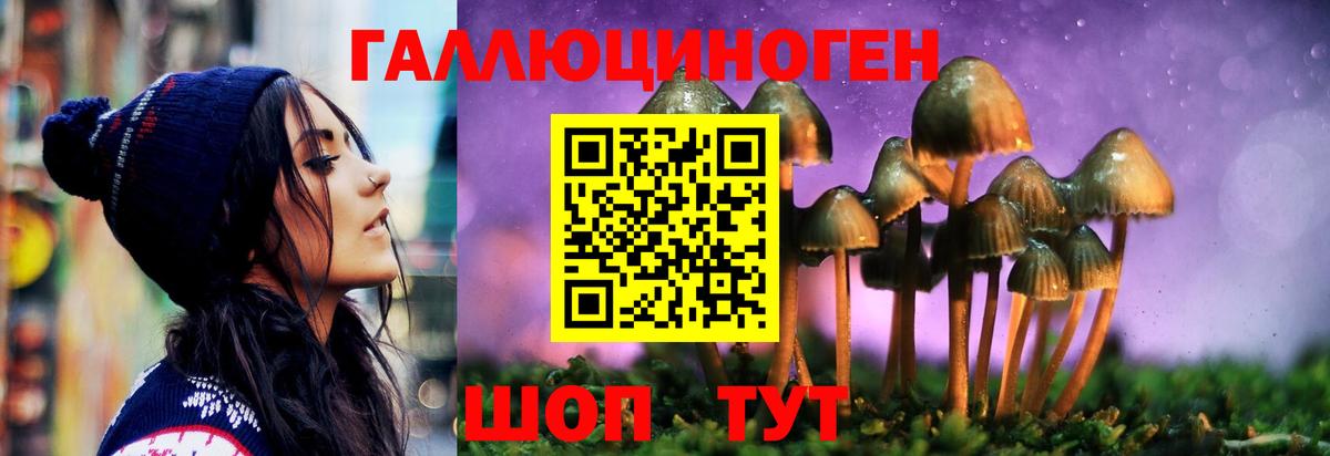 Галлюциногенные грибы Cubensis Улан-Удэ