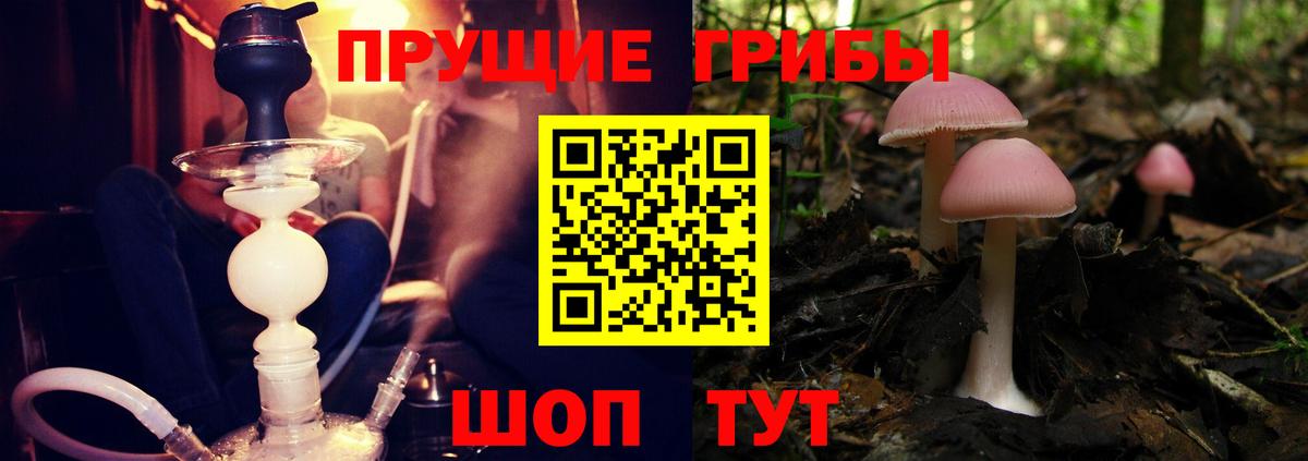 Псилоцибиновые грибы мухоморы  Галлюциногенные грибы мухоморы  купить закладку  Вход с VPN  Улан-Удэ 